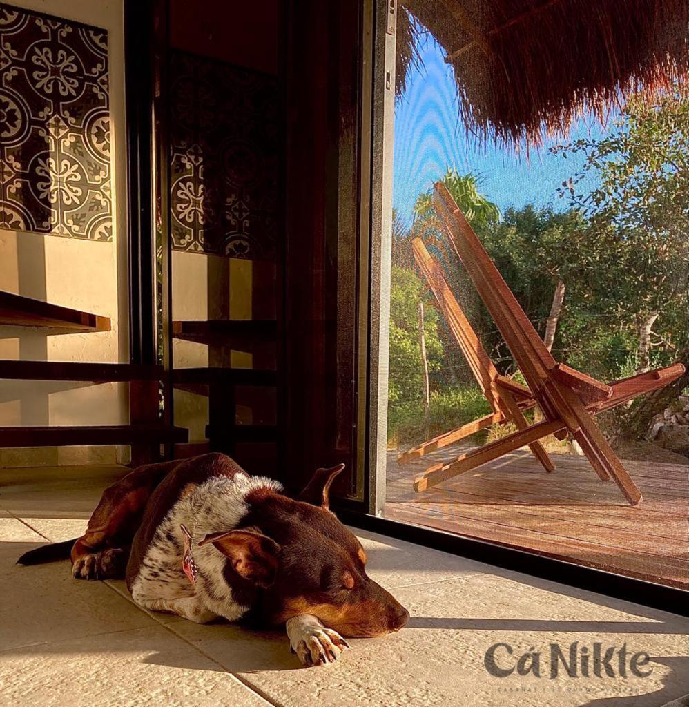 Ca Nikte Cabanas El Cuyo Exteriér fotografie