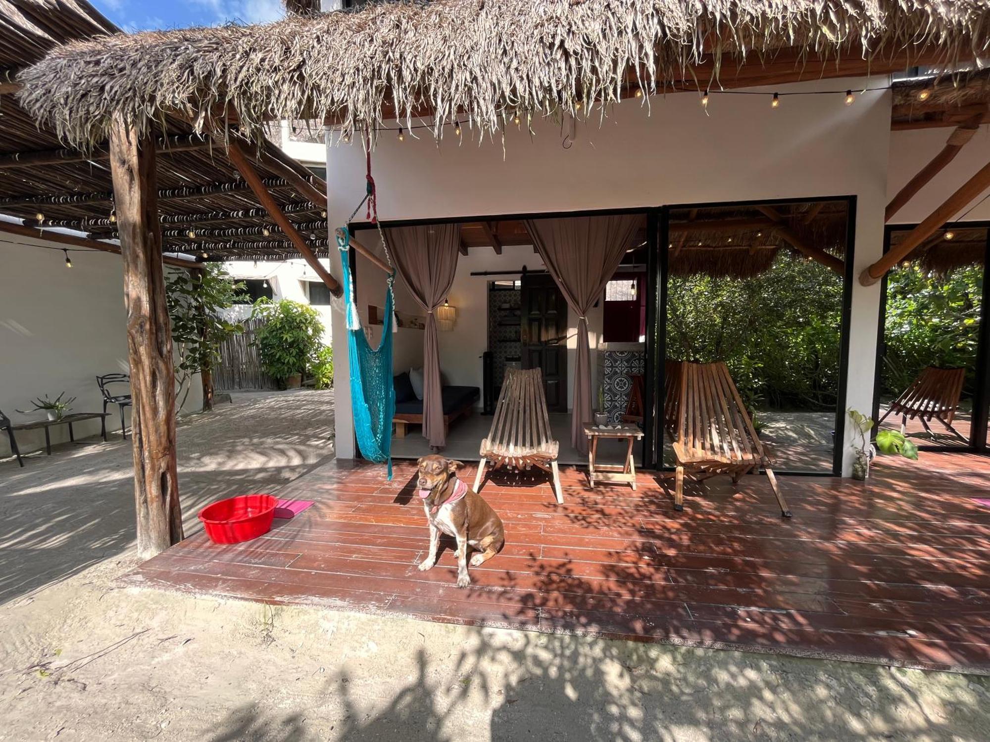Ca Nikte Cabanas El Cuyo Exteriér fotografie