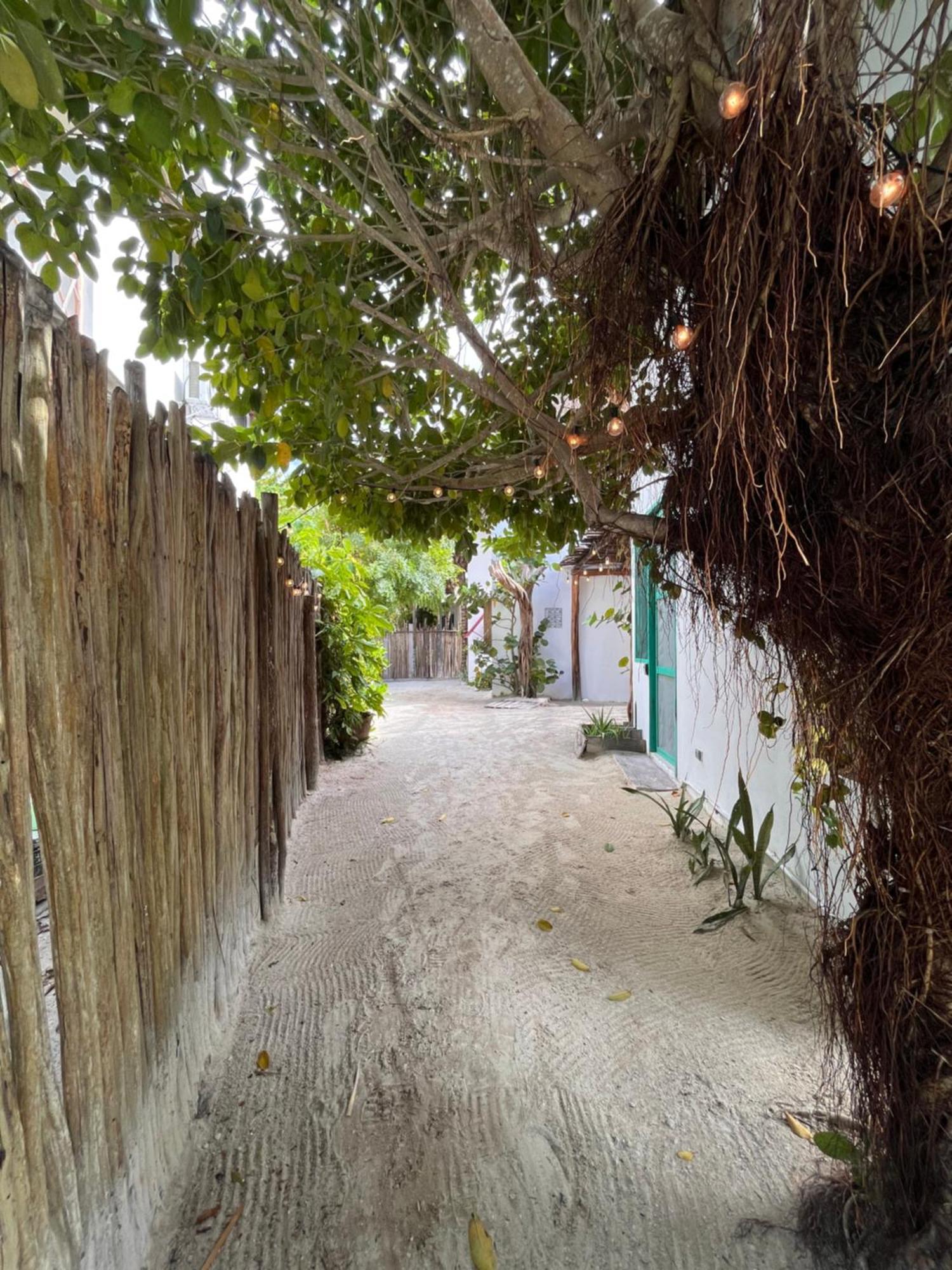 Ca Nikte Cabanas El Cuyo Exteriér fotografie
